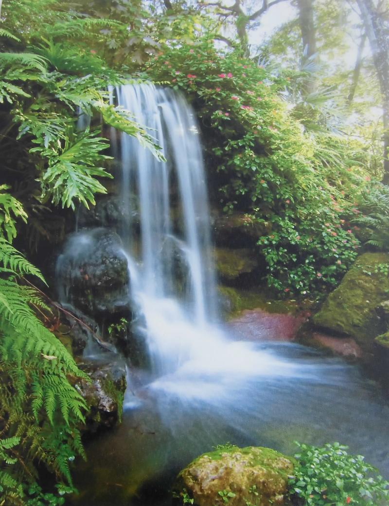 Wandbild Wasserfall