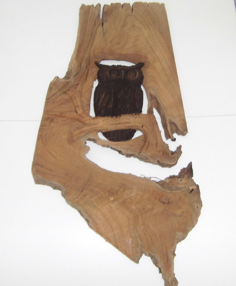Wandbild Relief Eule aus Teakholz 54 x 26 cm